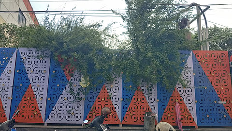 Overflowing creepers that block access to a transformer
on Perumal Koil Street, Nerkundram