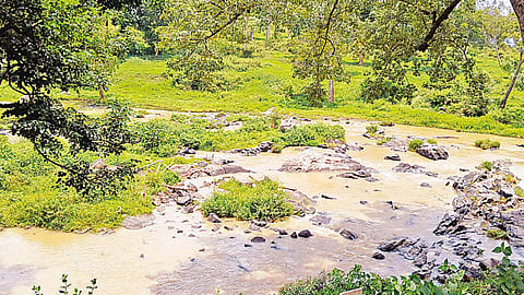 Low rainfall in Nilgiris