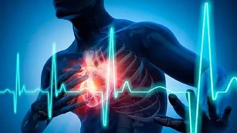 Cardiac health: Study links lower iron-transport protein to heart disease