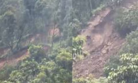 Major landslide strikes Sikkim's Rimbi, several houses damaged
