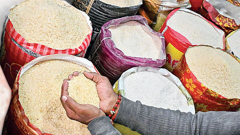 Rice