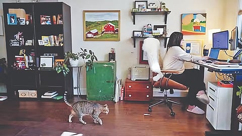 Work from home