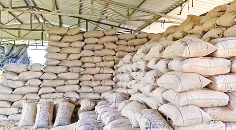 
Procured paddy
