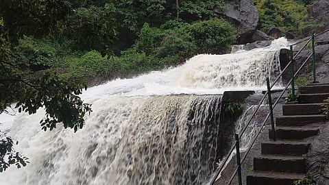 Gushing water at the Kovai Kutralam falls in Coimbatore
