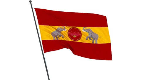 TVK flag