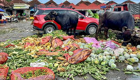 Large quantities of unsold vegetables piled up and were dumped in the garbage at the Koyambedu Wholesale Market Complex due to pooja holidays