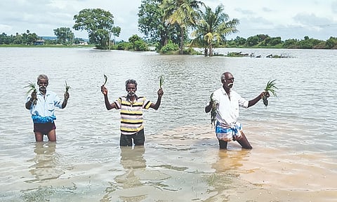 Over 800 acres of paddy crops were inundated after NHAI’s nearby 6-lane work blocked rainwater from draining into waterbodies. Irked villagers detained officials in Uthukottai on Thursday

