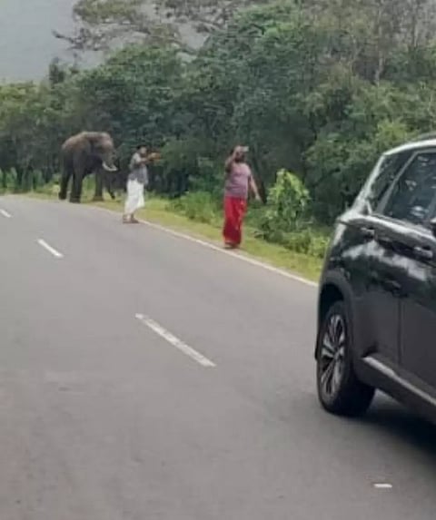 The duo taking selfies with wild elephant in Hasanur