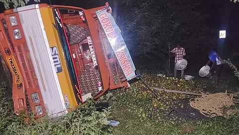 The capsized lorry with mangoes lying scattered  after the mishap on Thursday