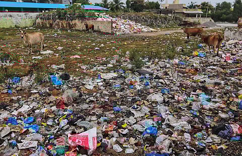 The burial ground that has turned into a dumpyard in Red Hills.