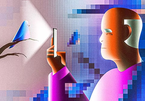 Representative image