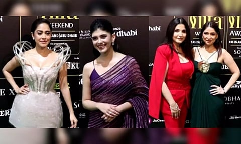 Celebrities at 23rd edition of the International Indian Film Academy and Awards