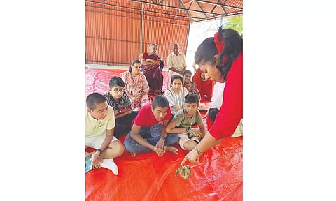 Explore the fascinating world of reptiles with MCBT’s quizzes