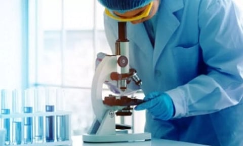 Representative image