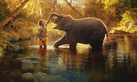 The Elephant Whisperers