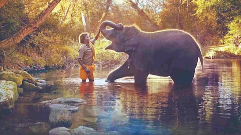Oscar-winning documentary, The Elephant Whisperers