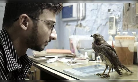 ‘All That Breathes' poster look&nbsp;