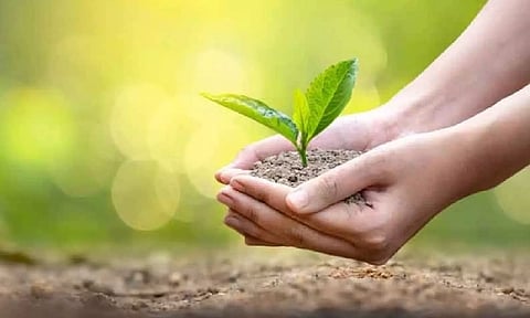 Representative image