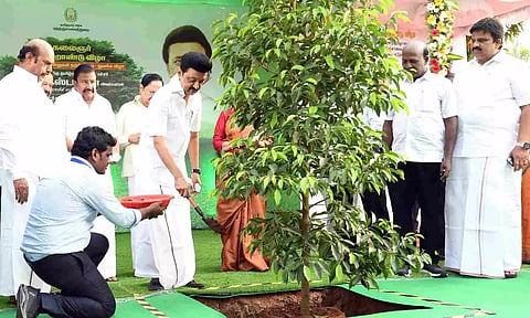 TN CM Stalin launched a mass tree-planting drive on Wednesday. (Twitter/@CMOTamilNadu)