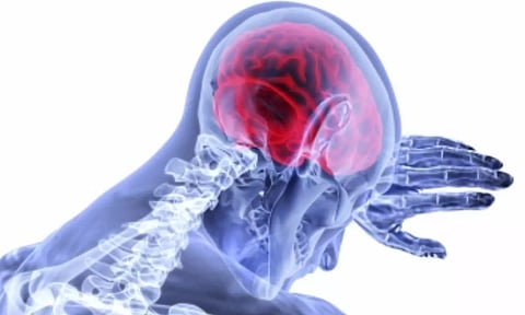 Representative Image (IANS)