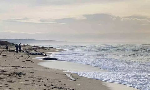 Representative Image, Image Credit: AP