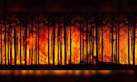 Representative Image, Image Credit: Pixabay