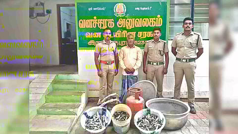 Processed sea cucumber seized by the forest personnel at Devipattinam in Ramanathapuram
