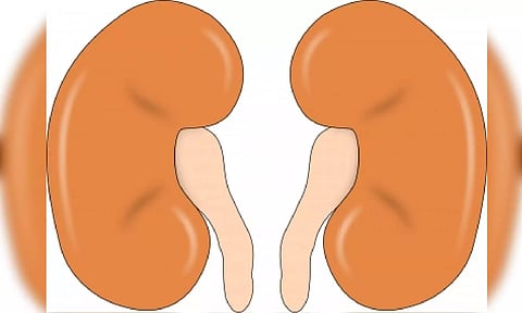 Representative Image, Image Credit: IANS