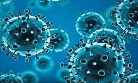 Representative Image (IANS)