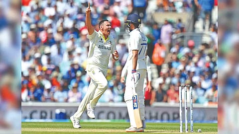 Scott Boland celebrates taking the wicket of Shubman Gill

