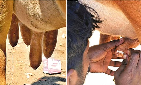 Visuals from the spot