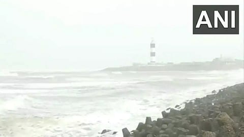 Representative Image (ANI)