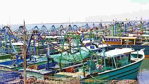 A fleet of boats remain anchored at Thoothukudi fishing habour on Thursday