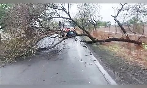 Road blocked in Jamnagar due to fallen trees (ANI)