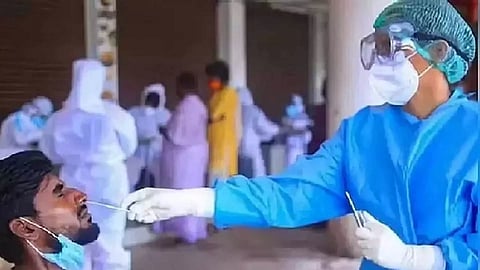 TN reports 3 fresh Covid-19 cases