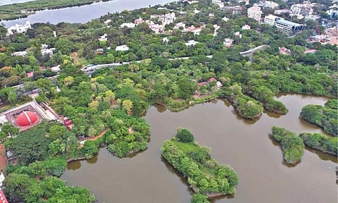 Representative image