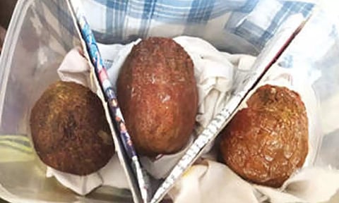 Tusker pearls seized in Kodambakkam