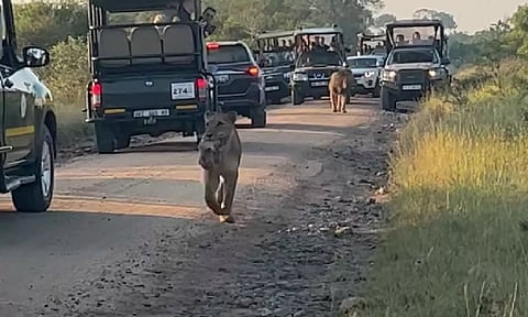 Screengrab from the video