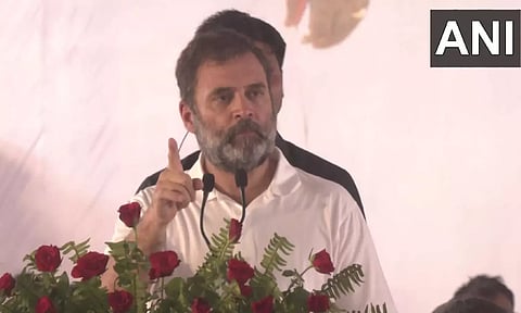 Rahul Gandhi (ANI)