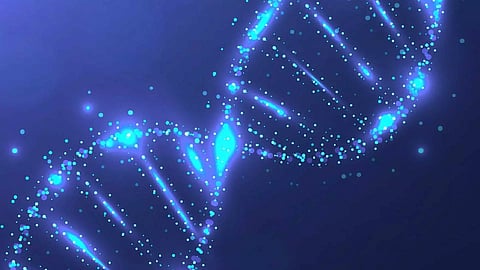 How our genes make us prone to allergies