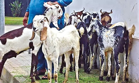 Representative image