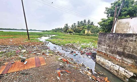 Residents have asked the authorities to clean up the lake in East Tambaram