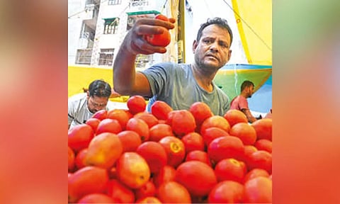 Tomato price to cool down soon, assures Consumer Affairs dept