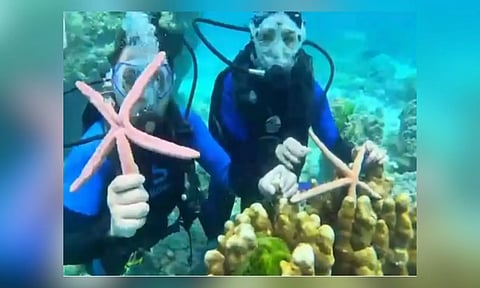 Chinese tourists touch a starfish under the sea in Phuket