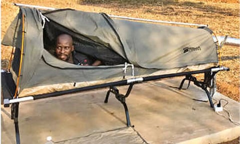 How to build a scent smorgasbord for mosquitoes