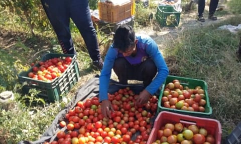 Representative image