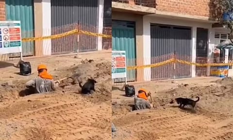 Screengrab from the video (Instagram/@Goodnews Movement)