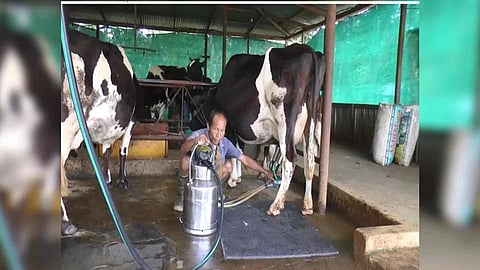 Milk production in India (Photo: ANI)