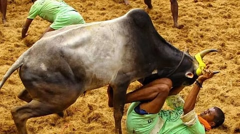 Representative Image&nbsp;