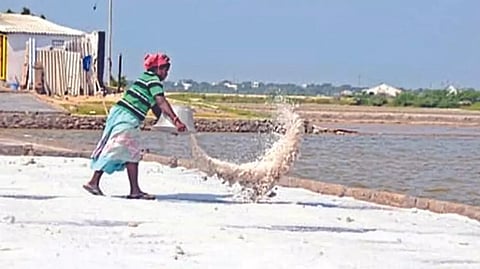 A worker at a saltpan in Thoothukudi